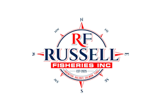 create professional and specially compass logo design