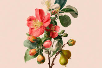 draw a  botanical illustration art for you