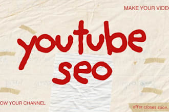 do professional youtube SEO for video ranking