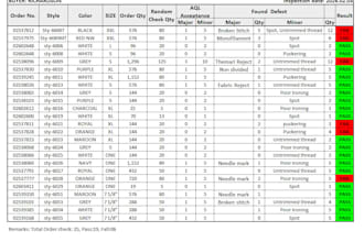 create professional garment QA inspection report format