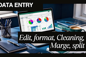 data entry, cleaning, marge,split