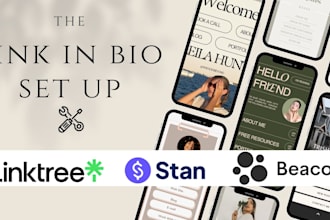 set up a high converting linktree or beacons or stanstore for social media