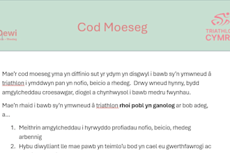 provide english to welsh translation with natural wording and reliable delivery