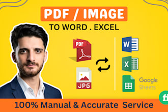 convert PDF or scanned pages to word or excel manually