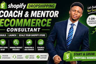 help you build a profitable shopify dropshipping store step by step
