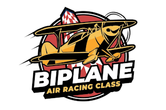 create professional aviation, airplane logo design