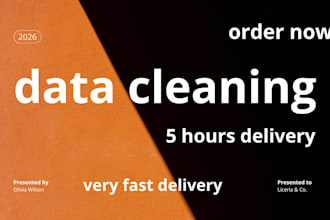do data cleaning and formatting