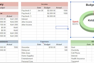 develop a professional cash flow forecast and budgeting system