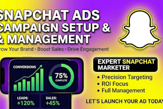 manage snapchat agency account,snapchat ads,tiktok agency ads account,meta ads