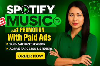 professional spotify music promotion music marketing