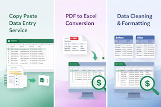 do accurate excel data entry copy paste and pdf to excel