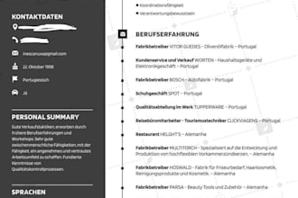 u criar cvs em portugues,alemao,frances,ingles