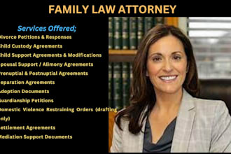 write family law documents, divorce, child custody, petition, motion and drafts