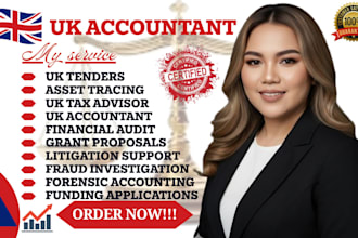 do forensic accounting, fraud investigation, financial audit as UK accountant