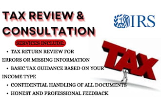 provide professional tax review and consultation services