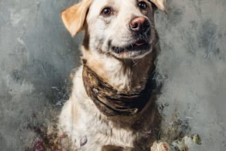make a custom memorial pet portrait from photo