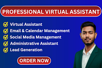 be your virtual assistant for admin, data entry and pa