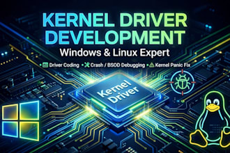 build windows kernel driver and debug driver issues, bsod