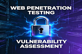 perform professional web penetration testing and vulnerability assessment