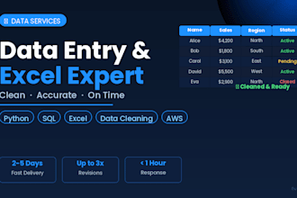 do data entry excel work and data cleaning professionally