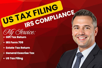 be CPA tax accountant for tax consulting, filing, planning, international tax