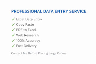do data entry and excel data formatting work