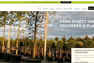 help you by creating stunning websites