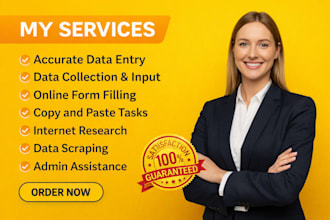 be your expert data entry assistant for CRM, excel, shopify and web research