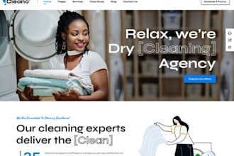 design laundry service website laundromat website dry cleaning website