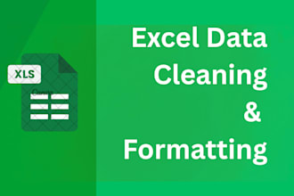 do excel data cleaning