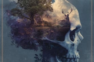 design a professional album cover