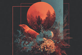 design album cover art