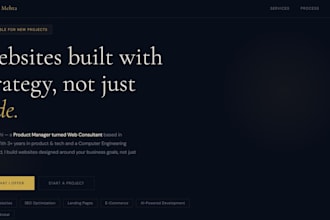 create a professional custom website with SEO for your business