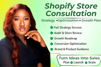 provide shopify consultation and store optimization