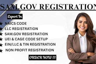 do professional sam gov registration uei and cage code setup
