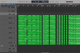 professionally produce, write, arrange and rough mix your custom song