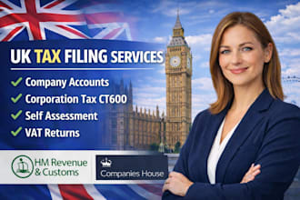be your UK accountant for company accounts, ct600, self assessment and VA