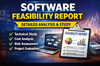 write a professional software feasibility report