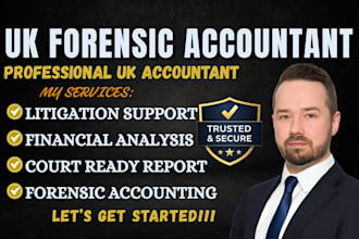 provide litigation support and court ready financial reports as uk accountant