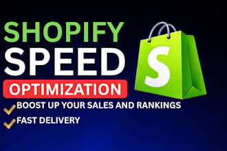 optimize your shopify store,boost your shopify speed and set a shopify website