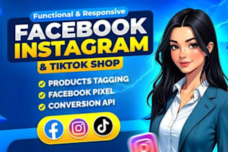 set up tiktok facebook and instagram ads shopify marketing to boost sales