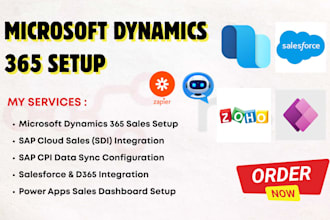 setup microsoft dynamics 365 sdi sap cpi d365 power bi b2b azure apps salesforce