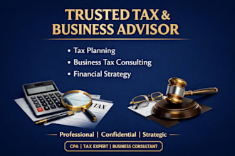 provide professional tax planning and business tax consulting services
