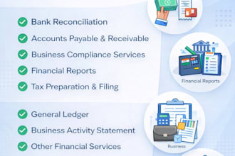 do professional bookkeeping using tally or quick books xero