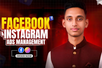 setup and optimize facebook and instagram ads campaign