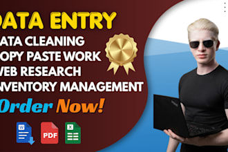 do professional data entry and excel data collection