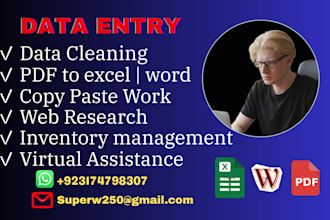 do professional data entry and excel data collection