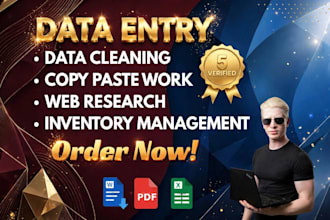 do professional data entry and excel data collection