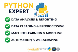 do python, r programming, scripts, coding and data analysis
