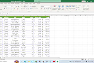 clean, organize and reconcile your excel accounting data professionallyi will c